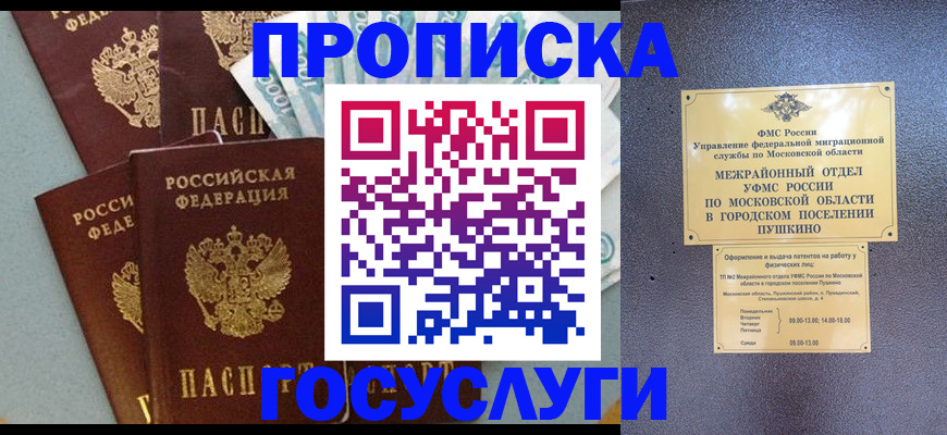 прописка гарантия в Звенигороде